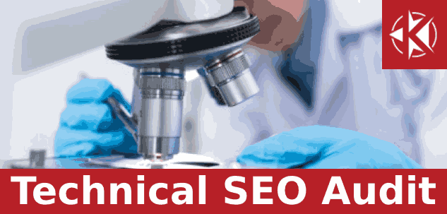Technical SEO auditing agency